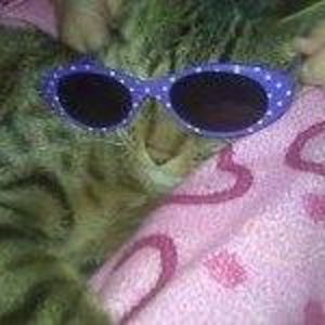 Meet your Posher, Shelly